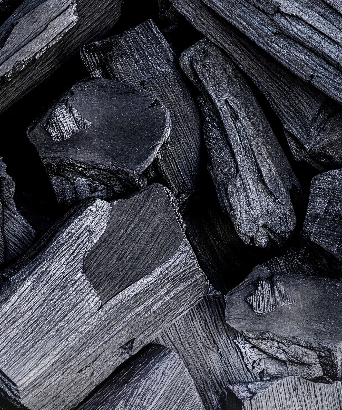 Activated Charcoal - deep-cleansing NOISS skincare ingredient